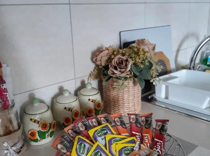 Dionis * Veliko Gradište