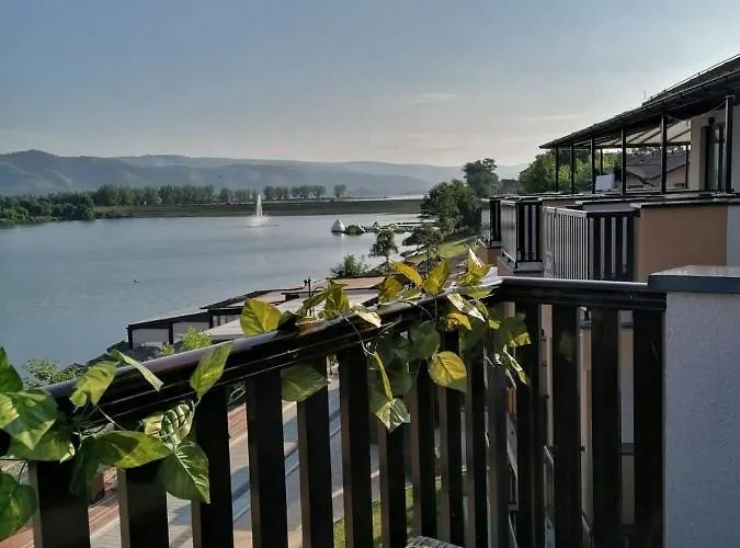 Dionis Veliko Gradište